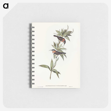 3-58_John-Gould_memo