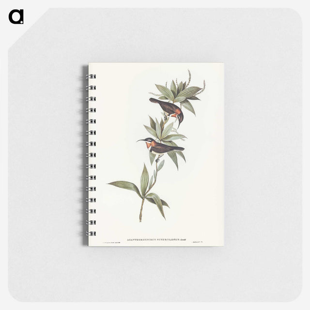 3-58_John-Gould_memo