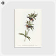 3-58_John-Gould_postcard