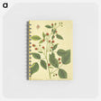 アートメモ帳-Rubus Ideous
 - 国立医学図書館 Memo.