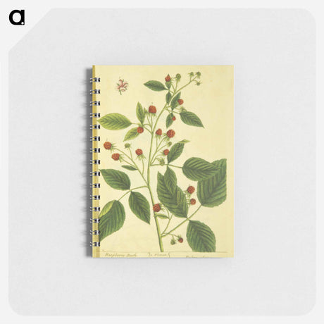 アートメモ帳-Rubus Ideous
 - 国立医学図書館 Memo.