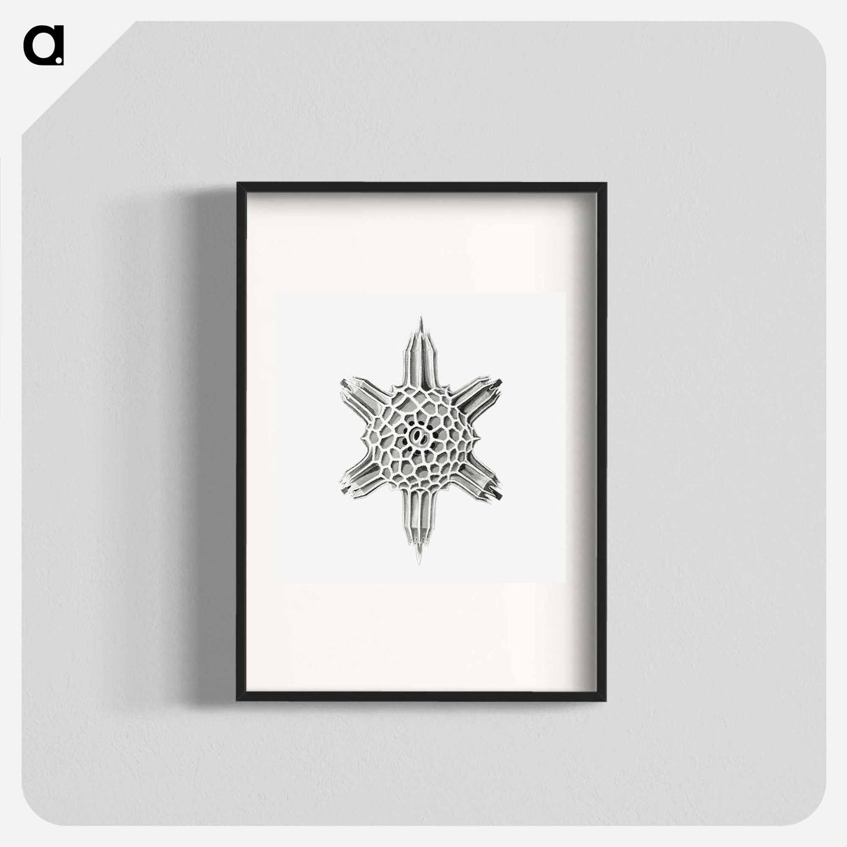 Vintage marine life illustration on white background - エルンスト ヘッケル Poster.