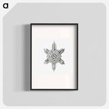Vintage marine life illustration on white background - エルンスト ヘッケル Poster.
