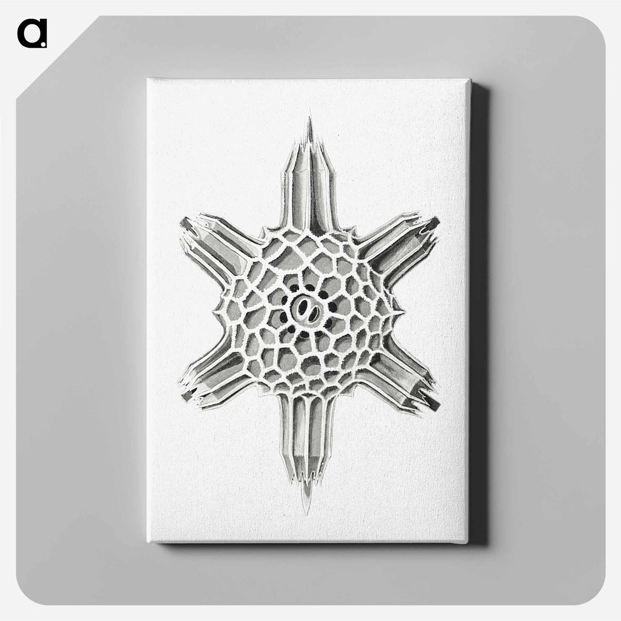 Vintage marine life illustration on white background - エルンスト ヘッケル Canvas.