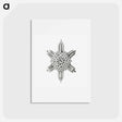 アートポストカード-Vintage marine life illustration on white background - エルンスト ヘッケル Postcard.