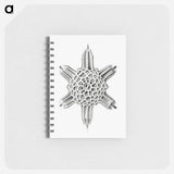 アートメモ帳-Vintage marine life illustration on white background - エルンスト ヘッケル Memo.