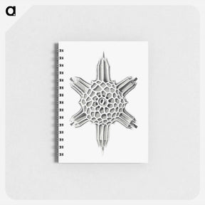 アートメモ帳-Vintage marine life illustration on white background - エルンスト ヘッケル Memo.