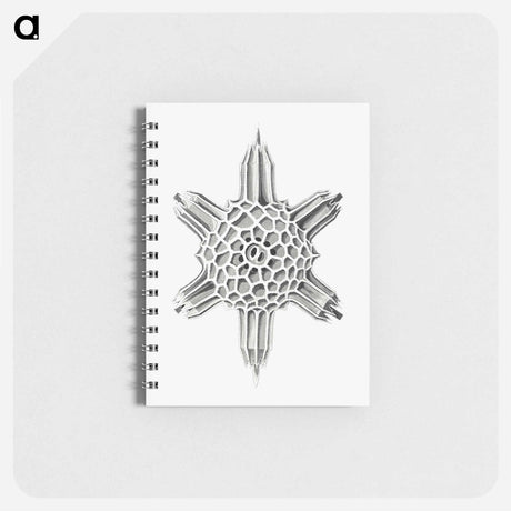 アートメモ帳-Vintage marine life illustration on white background - エルンスト ヘッケル Memo.