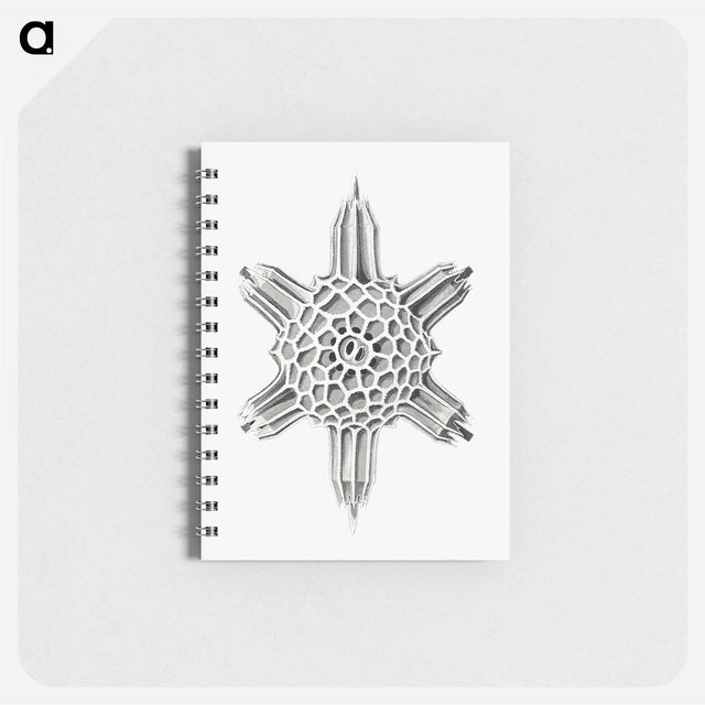 アートメモ帳-Vintage marine life illustration on white background - エルンスト ヘッケル Memo.