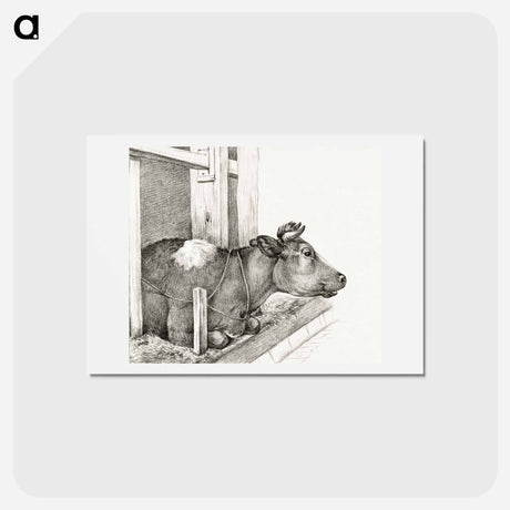 アートポストカード-Lying cow - ジャン ベルナール Postcard.