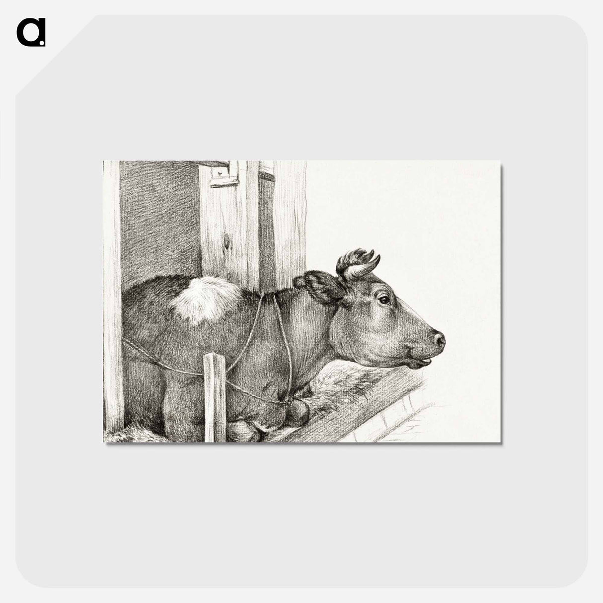 アートポストカード-Lying cow - ジャン ベルナール Postcard.