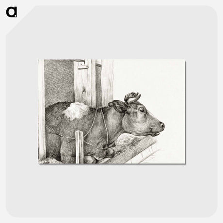 アートポストカード-Lying cow - ジャン ベルナール Postcard.