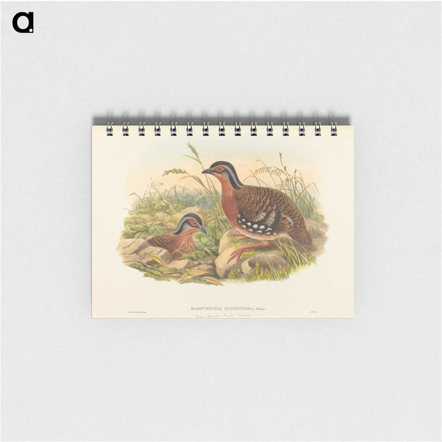 3-59_John-Gould_memo