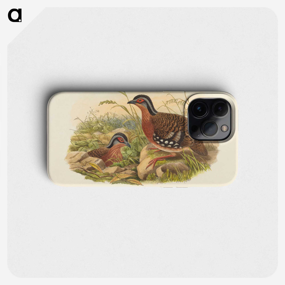3-59_John-Gould_phone