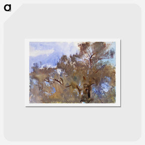 アートポストカード-Treetops against Sky - ジョン シンガー サージェント Postcard.