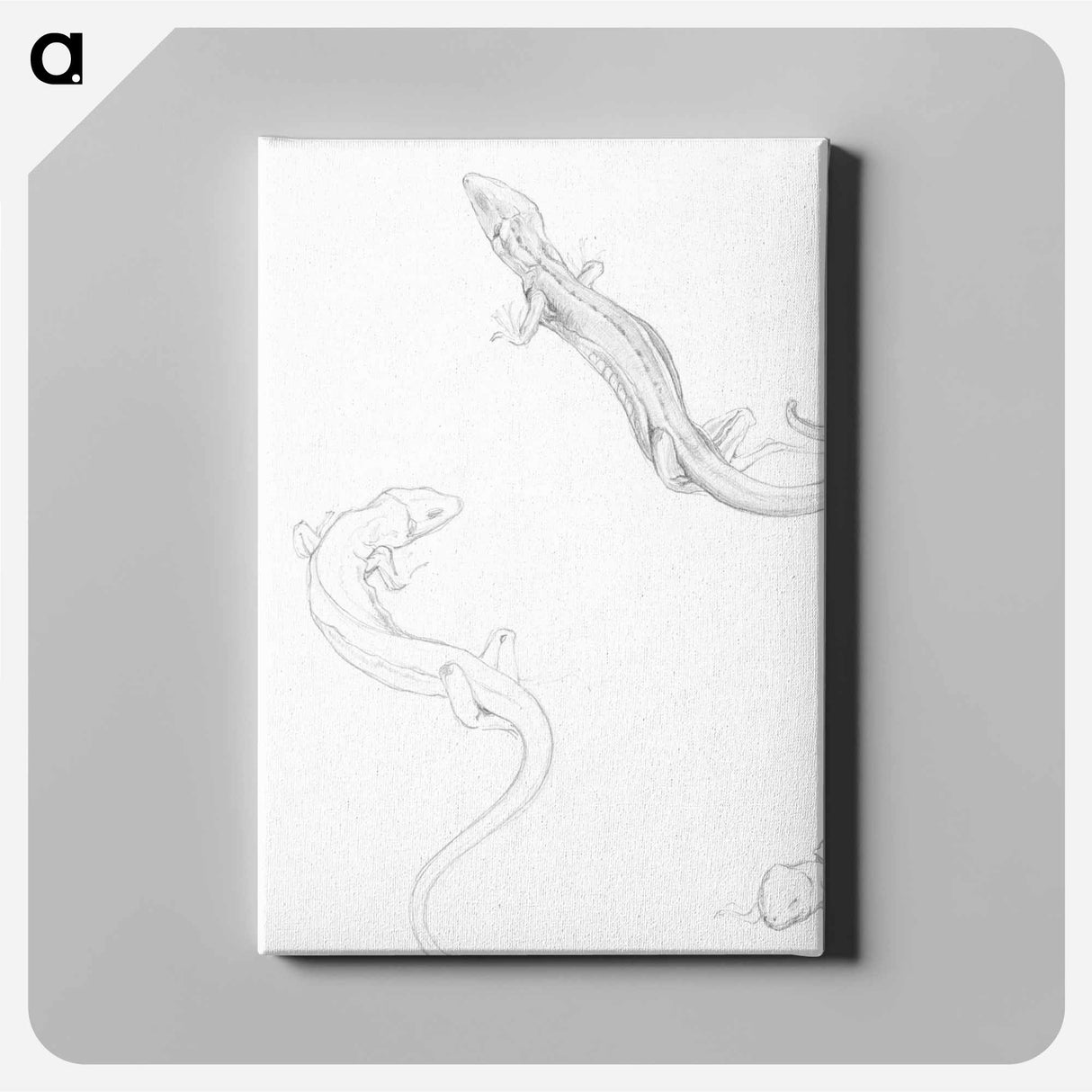 Sketches of lizards - ジュリー デ グラーグ Canvas.