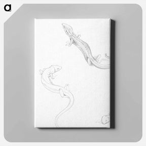 アートパネル-Sketches of lizards - ユリー デ フラーハ Canvas.