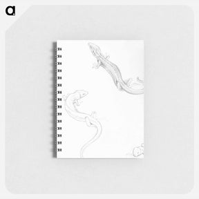 アートメモ帳-Sketches of lizards - ユリー デ フラーハ Memo.