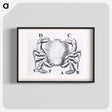 アートポスター-Crustacean
 - 国立医学図書館 Poster.