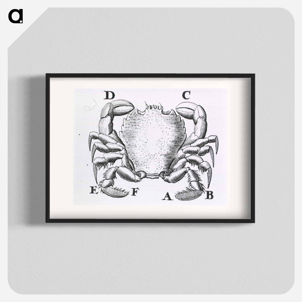 アートポスター-Crustacean
 - 国立医学図書館 Poster.