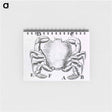 アートメモ帳-Crustacean
 - 国立医学図書館 Memo.