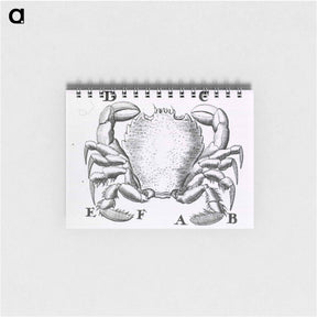 アートメモ帳-Crustacean
 - 国立医学図書館 Memo.