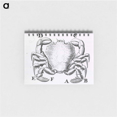アートメモ帳-Crustacean
 - 国立医学図書館 Memo.