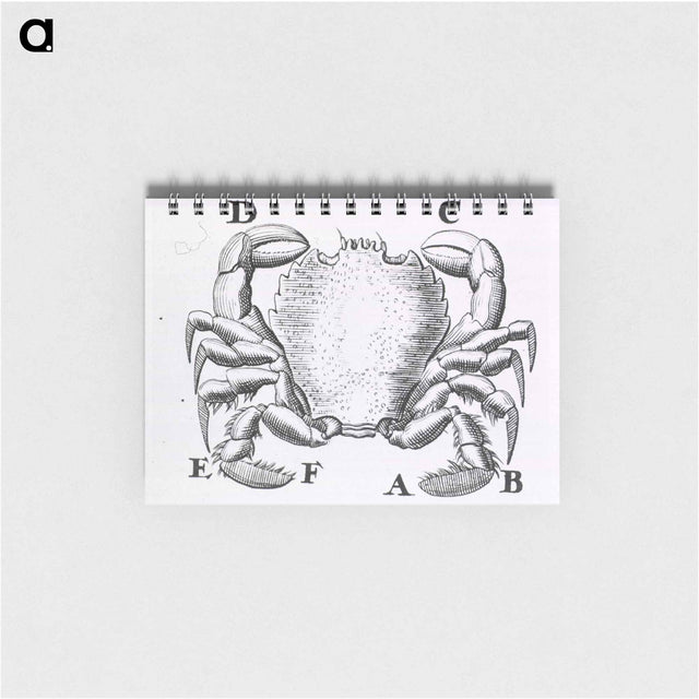 アートメモ帳-Crustacean
 - 国立医学図書館 Memo.