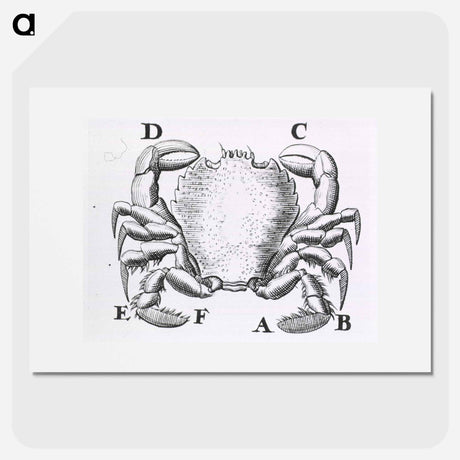 アートポスター-Crustacean
 - 国立医学図書館 Poster.