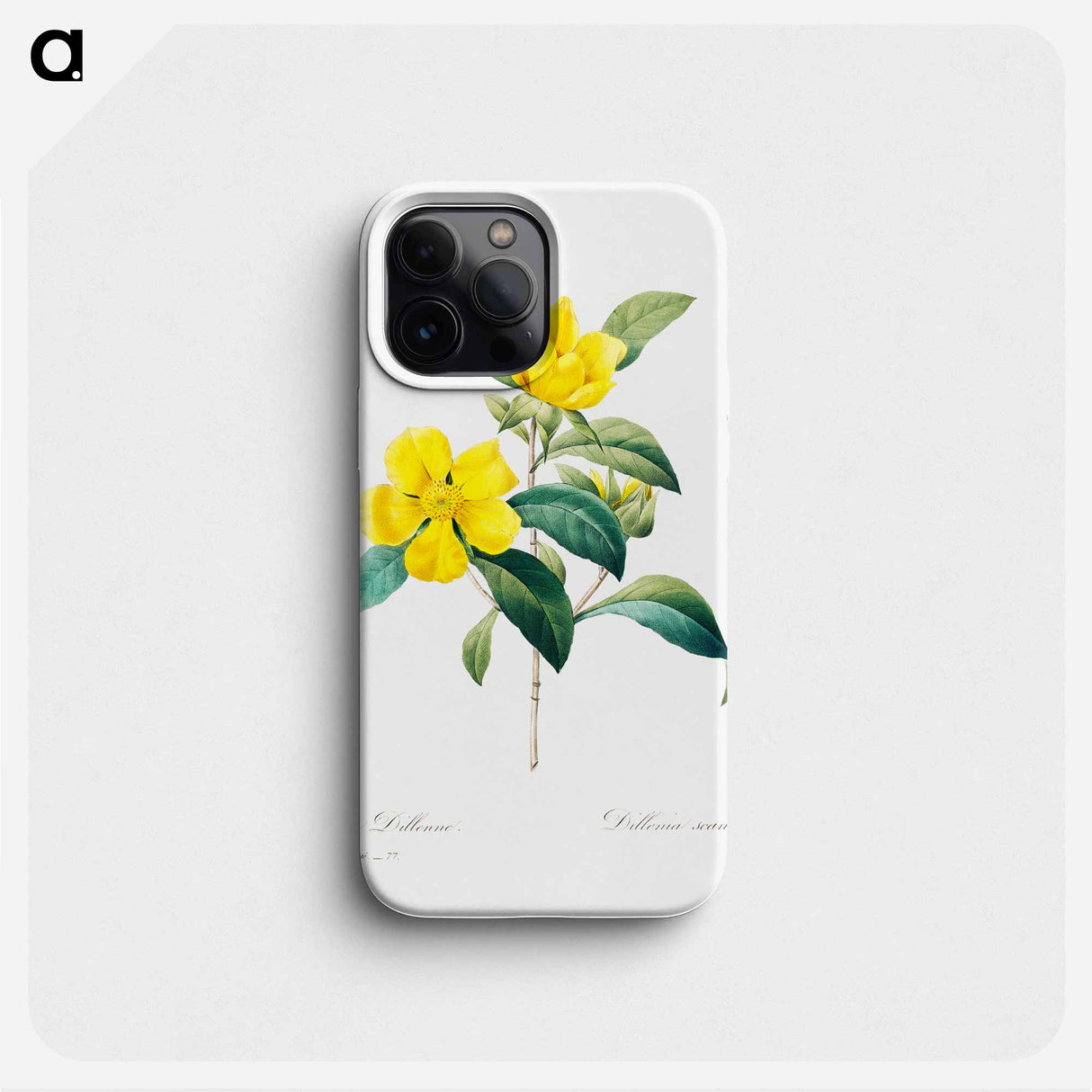 Golden guinea vine - ピエール ジョゼフ ルドゥーテ Phone Case.