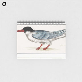 3-5_Anselmus-Boetius-de-Boodt_memo