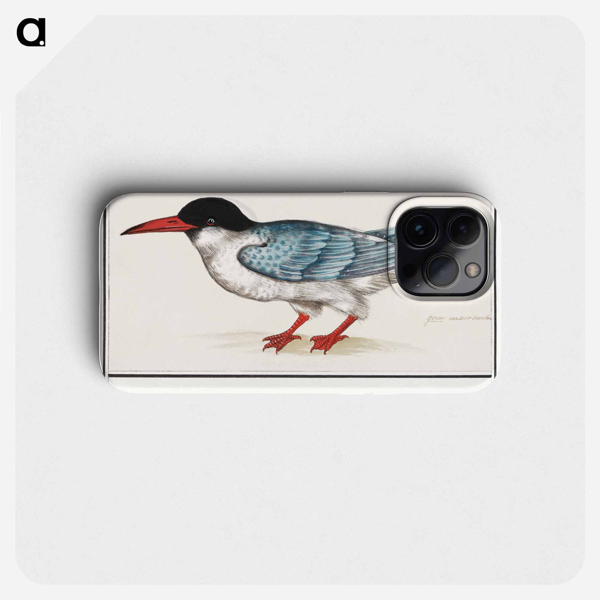 Common tern - アンセルムス ボエティウス デ ブート Phone Case.