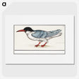 3-5_Anselmus-Boetius-de-Boodt_picture
