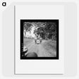 3-5_Dorothea-Lange_picture