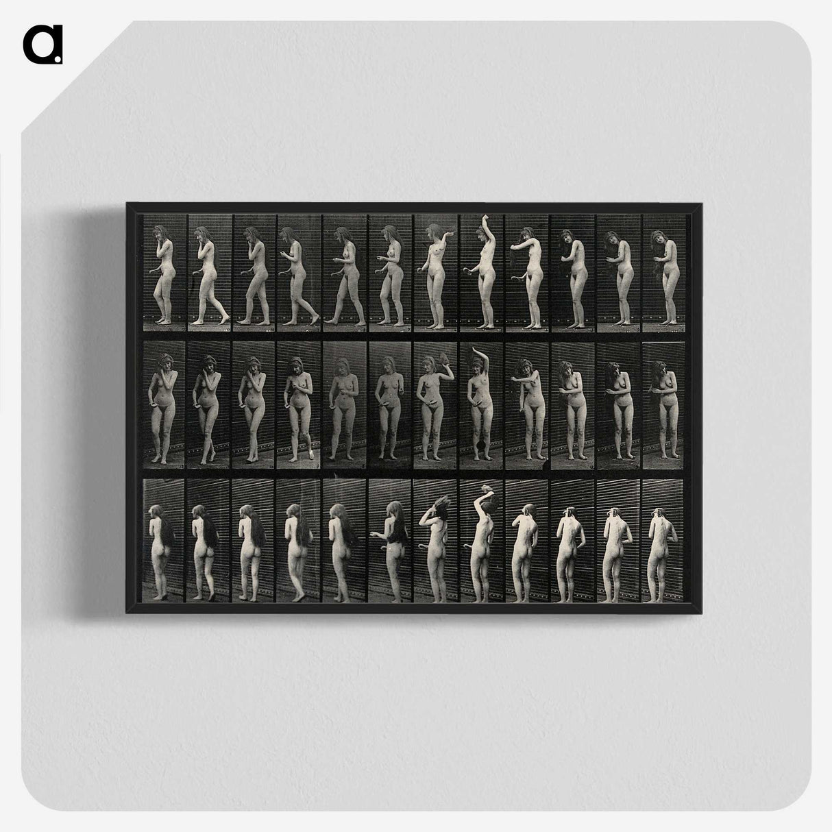 3-5_Eadweard-Muybridge_blk-crop
