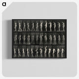 3-5_Eadweard-Muybridge_blk-crop