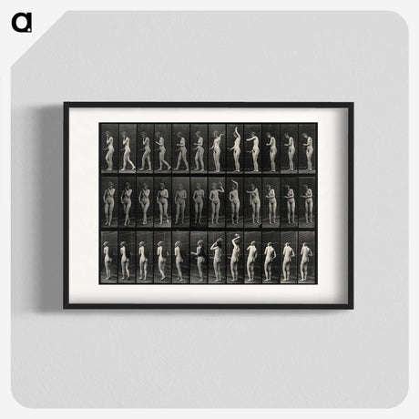 3-5_Eadweard-Muybridge_blk