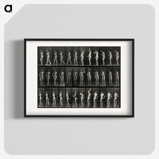 3-5_Eadweard-Muybridge_blk