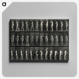 3-5_Eadweard-Muybridge_canvas