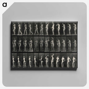 3-5_Eadweard-Muybridge_canvas