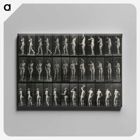 3-5_Eadweard-Muybridge_canvas