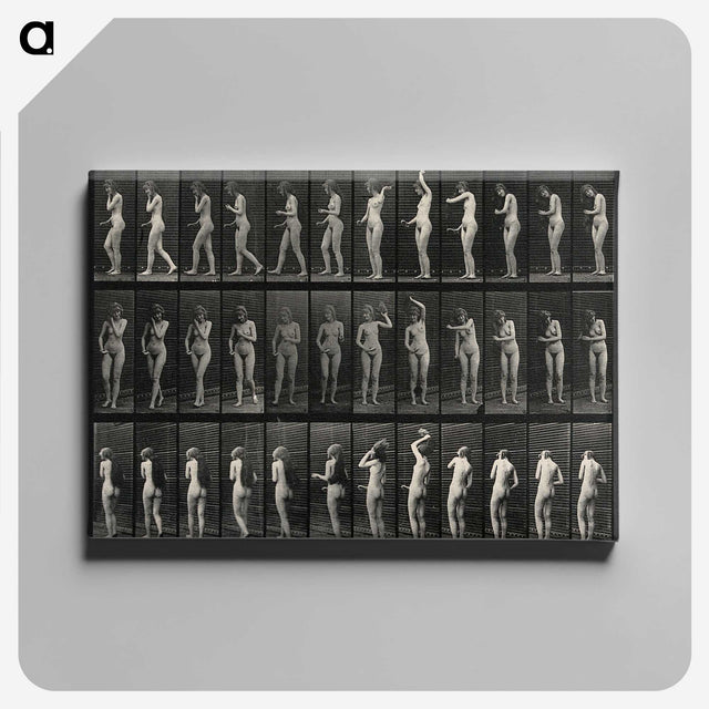 3-5_Eadweard-Muybridge_canvas