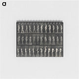 3-5_Eadweard-Muybridge_memo
