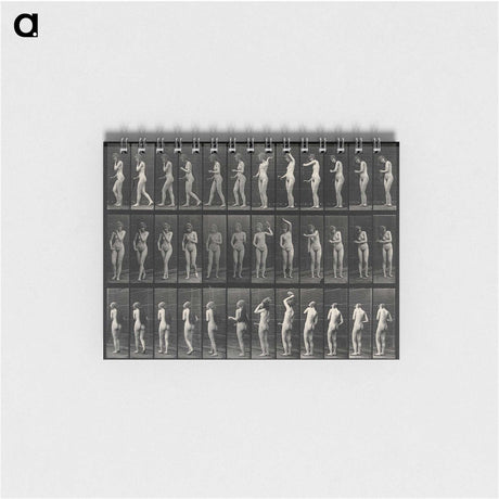 3-5_Eadweard-Muybridge_memo