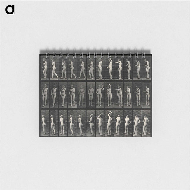 3-5_Eadweard-Muybridge_memo