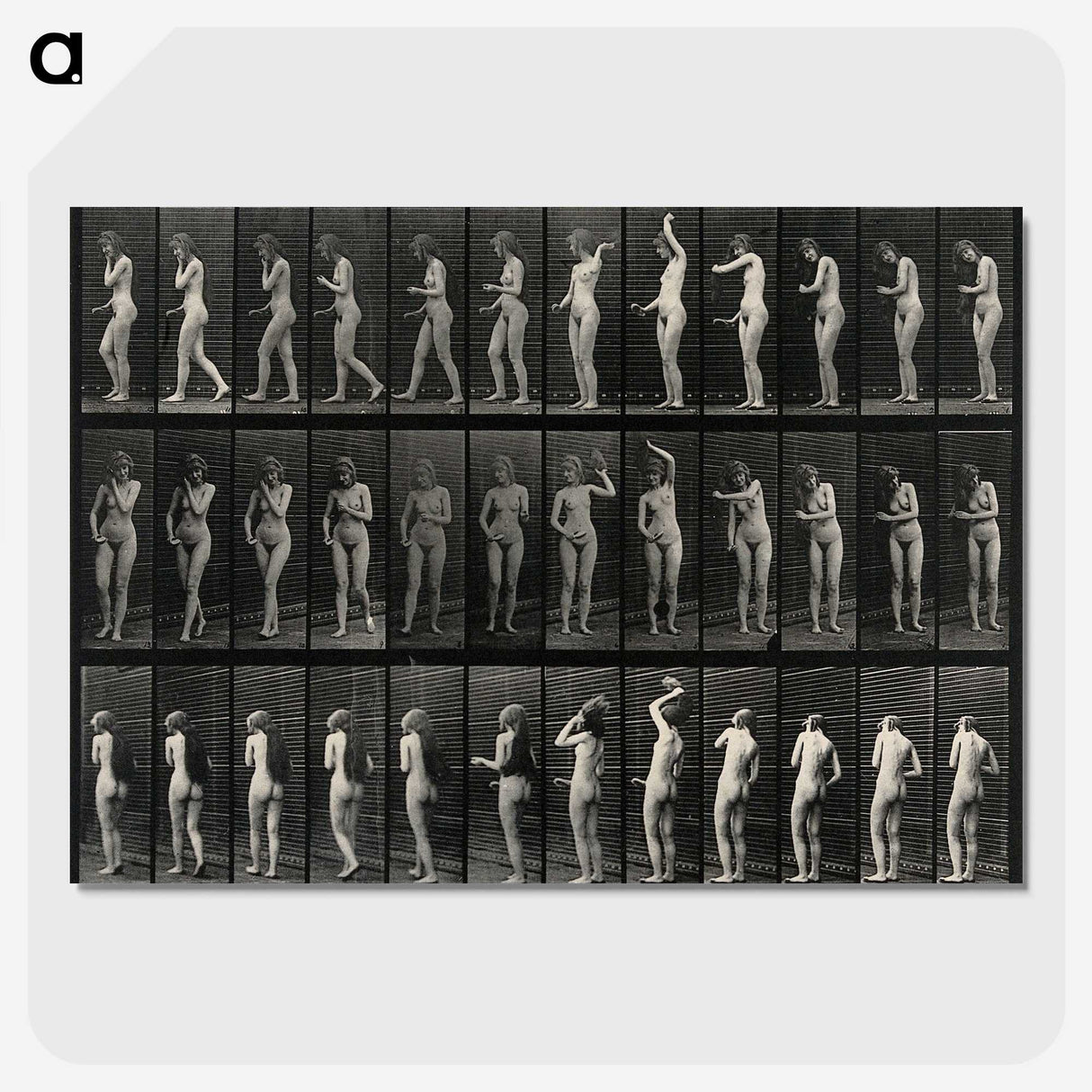 3-5_Eadweard-Muybridge_picture-crop