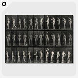 3-5_Eadweard-Muybridge_picture-crop