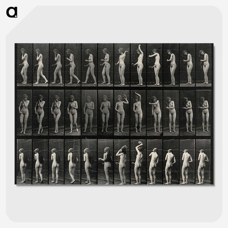 3-5_Eadweard-Muybridge_picture-crop