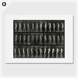 3-5_Eadweard-Muybridge_picture