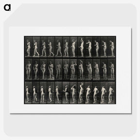 3-5_Eadweard-Muybridge_picture